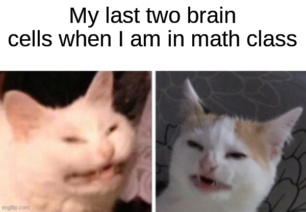 My last two brain cells when I am in math class | image tagged in math,school,last two brain cells | made w/ Imgflip meme maker