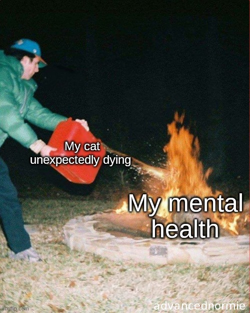 pouring gas on fire | My cat unexpectedly dying; My mental health | image tagged in pouring gas on fire,cats are awesome | made w/ Imgflip meme maker