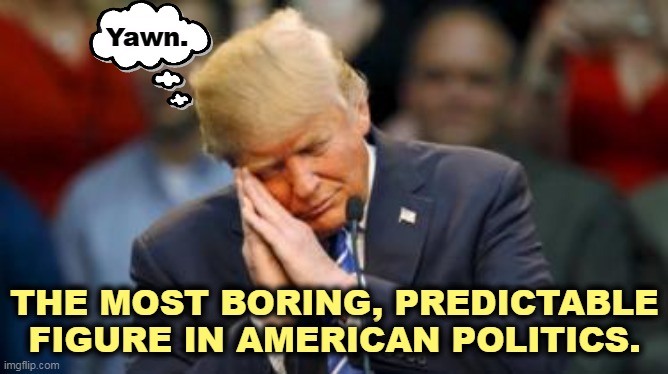 There are no surprises left. You know what he's going to say. | Yawn. THE MOST BORING, PREDICTABLE FIGURE IN AMERICAN POLITICS. | image tagged in trump sleeping,trump,boring,prediction | made w/ Imgflip meme maker