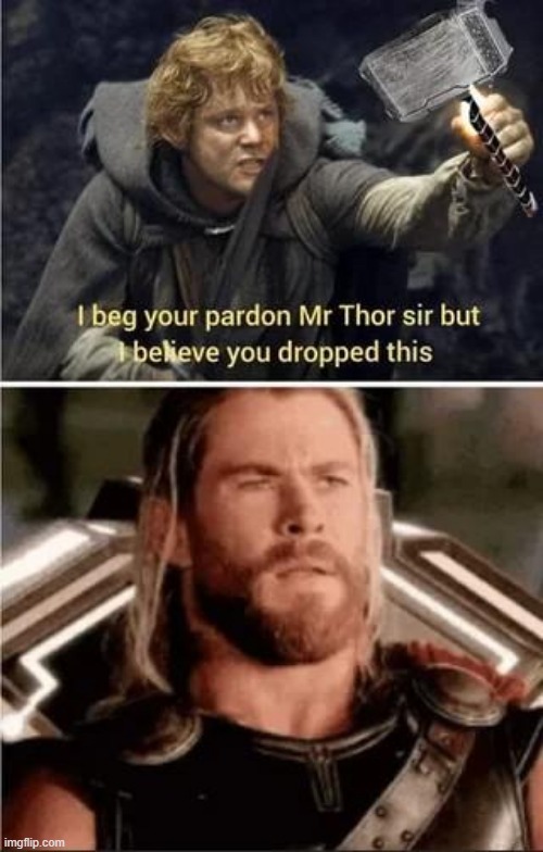 Sam IS Worthy | image tagged in samwise,thor | made w/ Imgflip meme maker