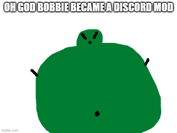 Blank White Template | OH GOD BOBBIE BECAME A DISCORD MOD | image tagged in blank white template | made w/ Imgflip meme maker