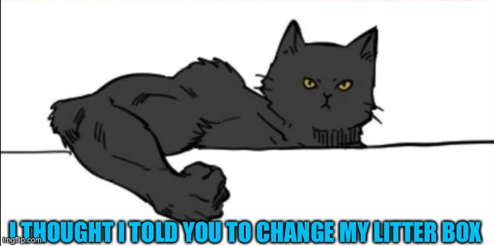 Buff cat | I THOUGHT I TOLD YOU TO CHANGE MY LITTER BOX | image tagged in buff cat | made w/ Imgflip meme maker