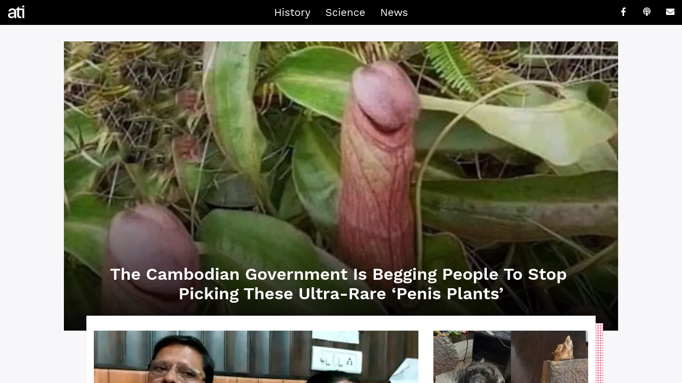 High Quality penis plant :D Blank Meme Template