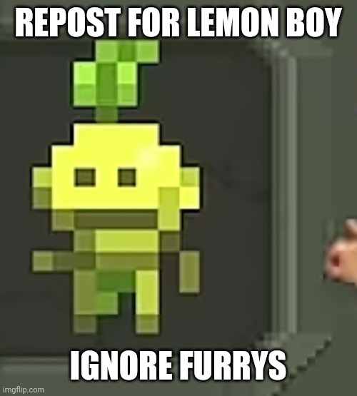 REPOST FOR LEMON BOY; IGNORE FURRYS | made w/ Imgflip meme maker