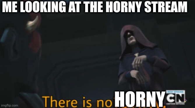 There is no funny. | ME LOOKING AT THE HORNY STREAM; HORNY | image tagged in there is no funny | made w/ Imgflip meme maker