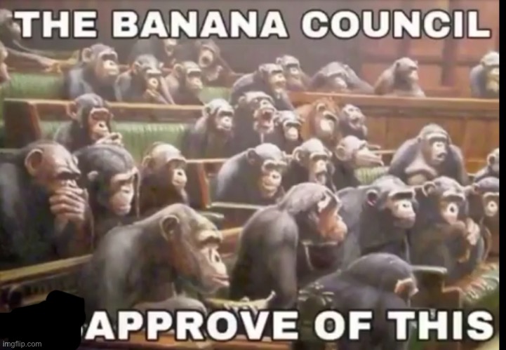 The banana council disapproves of this | image tagged in the banana council disapproves of this | made w/ Imgflip meme maker