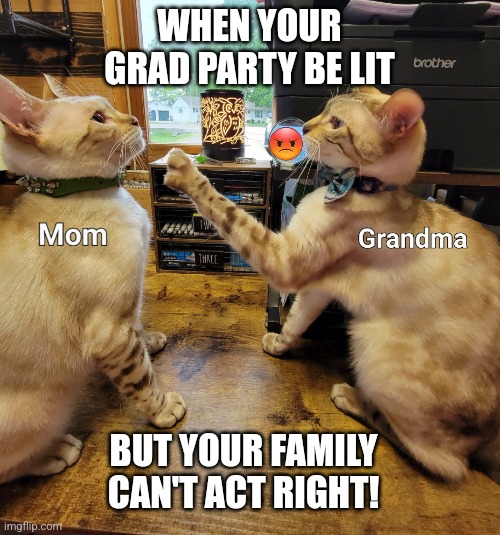 graduation party meme