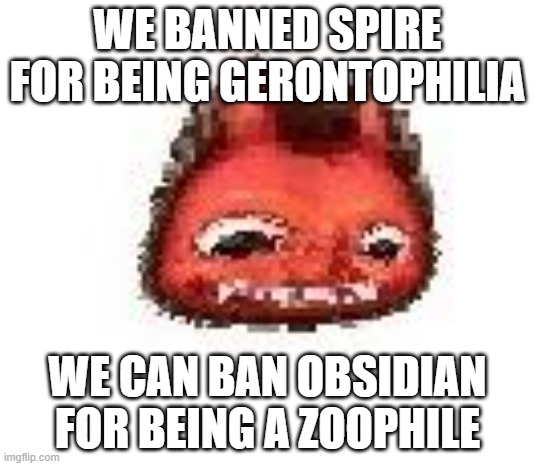 Squished boi | WE BANNED SPIRE FOR BEING GERONTOPHILIA; WE CAN BAN OBSIDIAN FOR BEING A ZOOPHILE | image tagged in squished boi | made w/ Imgflip meme maker