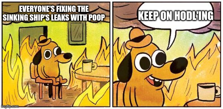 this is fine bitcoin hodl | KEEP ON HODL'ING; EVERYONE'S FIXING THE SINKING SHIP'S LEAKS WITH POOP | image tagged in this is fine blank | made w/ Imgflip meme maker
