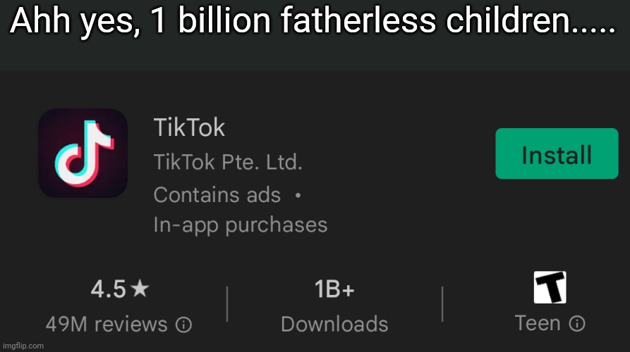 tiktok no no | Ahh yes, 1 billion fatherless children..... | image tagged in fatherless,maidenless,motherless,bitchless | made w/ Imgflip meme maker