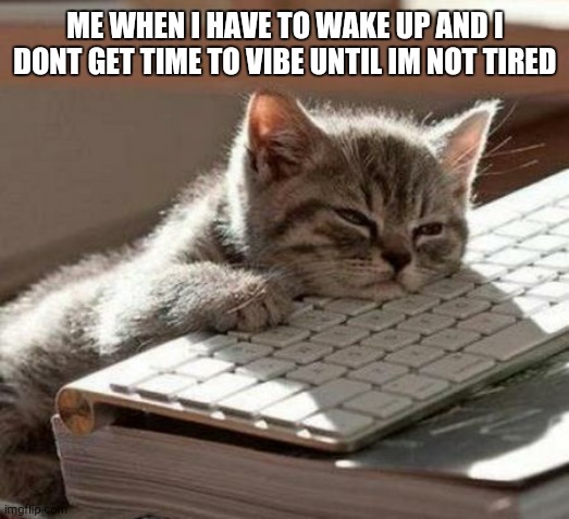 me in the morning lol | ME WHEN I HAVE TO WAKE UP AND I DONT GET TIME TO VIBE UNTIL IM NOT TIRED | image tagged in tired cat | made w/ Imgflip meme maker