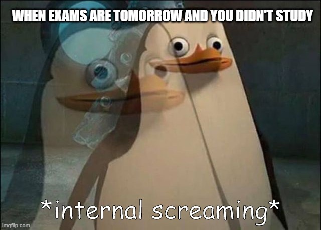 OOF | WHEN EXAMS ARE TOMORROW AND YOU DIDN'T STUDY | image tagged in private internal screaming | made w/ Imgflip meme maker