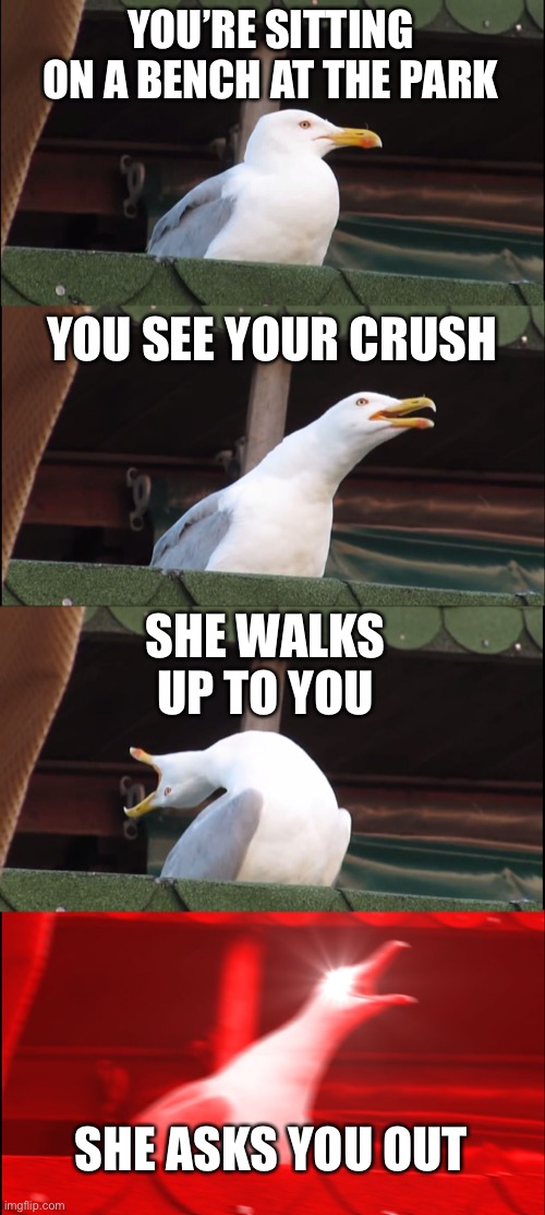 My first meme | YOU’RE SITTING ON A BENCH AT THE PARK; YOU SEE YOUR CRUSH; SHE WALKS UP TO YOU; SHE ASKS YOU OUT | image tagged in memes,inhaling seagull | made w/ Imgflip meme maker