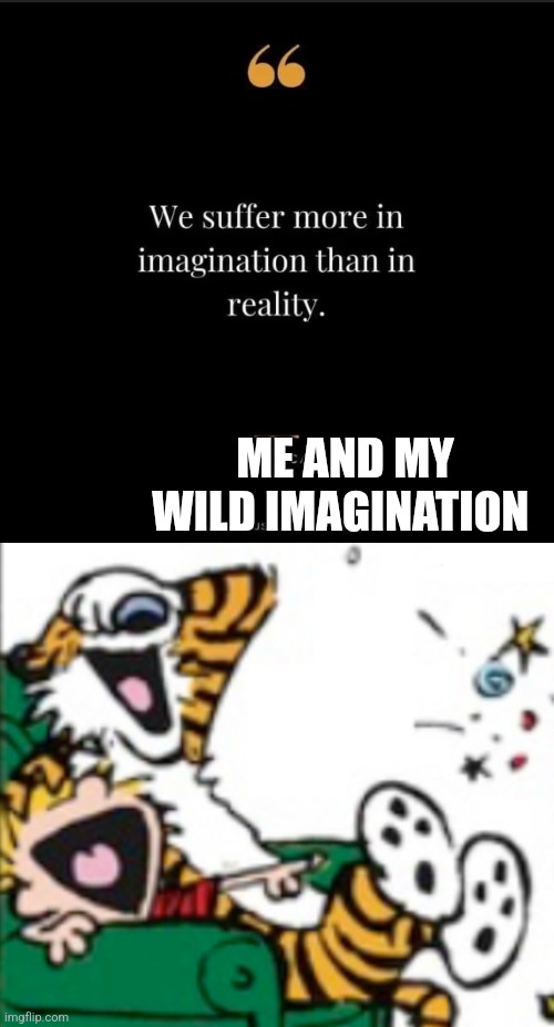 ME AND MY WILD IMAGINATION | image tagged in calvin and hobbes laugh | made w/ Imgflip meme maker