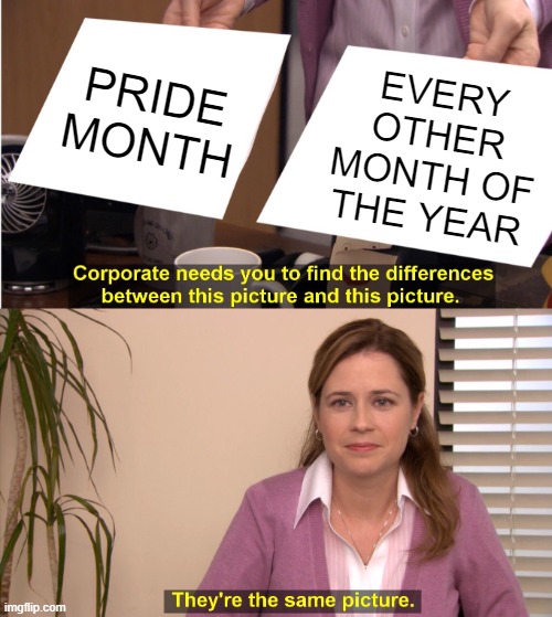 when ISN'T it pride month | EVERY OTHER MONTH OF THE YEAR; PRIDE MONTH | image tagged in memes,they're the same picture | made w/ Imgflip meme maker