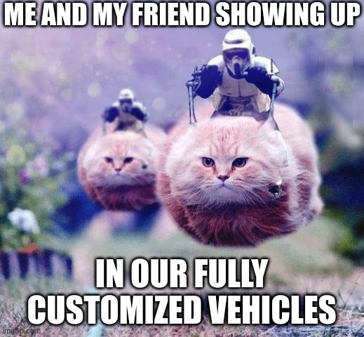 Vehicle Customization |  ME AND MY FRIEND SHOWING UP; IN OUR FULLY CUSTOMIZED VEHICLES | image tagged in storm trooper cats,star wars,video games,videogames | made w/ Imgflip meme maker