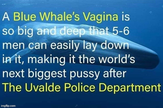 stolen | image tagged in rmk,i stole a stolen meme | made w/ Imgflip meme maker