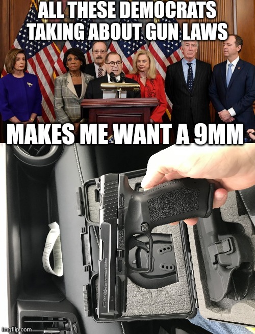 The looney left is getting looney again | ALL THESE DEMOCRATS TAKING ABOUT GUN LAWS; MAKES ME WANT A 9MM | image tagged in house democrats,9mm,democrats | made w/ Imgflip meme maker