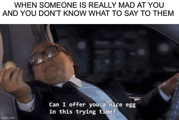 Take the e g g. c o o k i t | WHEN SOMEONE IS REALLY MAD AT YOU AND YOU DON’T KNOW WHAT TO SAY TO THEM | image tagged in can i offer you a nice egg in this trying time,memes,funny,egg,cook,cooking | made w/ Imgflip meme maker