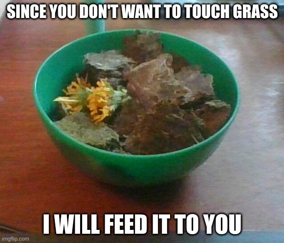 yes | SINCE YOU DON'T WANT TO TOUCH GRASS; I WILL FEED IT TO YOU | made w/ Imgflip meme maker