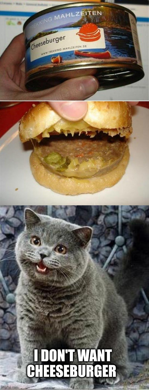 I DON'T WANT CHEESEBURGER | image tagged in i can has cheezburger cat | made w/ Imgflip meme maker