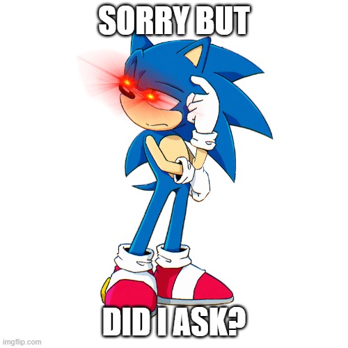 did i ask | SORRY BUT; DID I ASK? | image tagged in memes | made w/ Imgflip meme maker