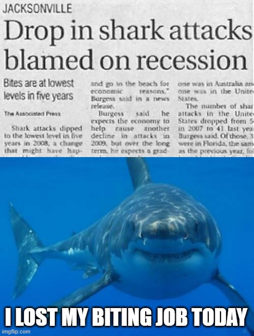 Hey, I'm Gonna Eat Y'all | I LOST MY BITING JOB TODAY | image tagged in bad shark pun | made w/ Imgflip meme maker
