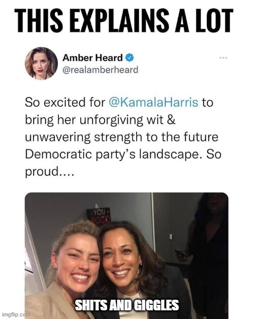 Shits and giggles | SHITS AND GIGGLES | image tagged in amber heard,kamala harris,johnny depp | made w/ Imgflip meme maker
