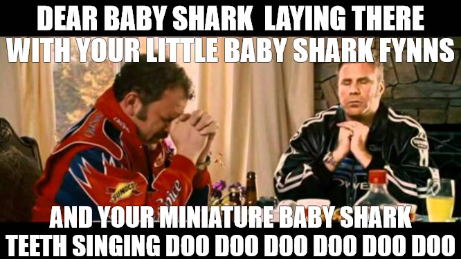 SUPPER TIME | DEAR BABY SHARK  LAYING THERE WITH YOUR LITTLE BABY SHARK FYNNS; AND YOUR MINIATURE BABY SHARK TEETH SINGING DOO DOO DOO DOO DOO DOO | image tagged in dear lord baby jesus,ricky bobby praying,ricky bobby | made w/ Imgflip meme maker