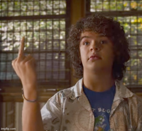 Stranger Things - Dustin | image tagged in stranger things - dustin | made w/ Imgflip meme maker