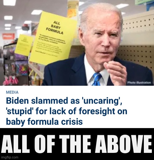 Joe Biden summed up. | ALL OF THE ABOVE | image tagged in joe biden,creepy joe biden,biden,democrat | made w/ Imgflip meme maker