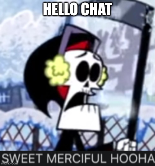SWEET MERCIFUL HOOHA | HELLO CHAT | image tagged in sweet merciful hooha | made w/ Imgflip meme maker