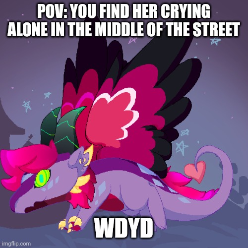 POV: YOU FIND HER CRYING ALONE IN THE MIDDLE OF THE STREET; WDYD | made w/ Imgflip meme maker