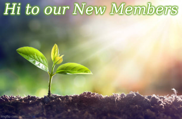 Hi to our New Members | Hi to our New Members | image tagged in grow,seeds,plants | made w/ Imgflip meme maker