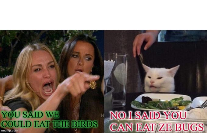 Woman Yelling At Cat Meme | YOU SAID WE COULD EAT THE BIRDS; NO I SAID YOU CAN EAT ZE BUGS | image tagged in memes,woman yelling at cat | made w/ Imgflip meme maker