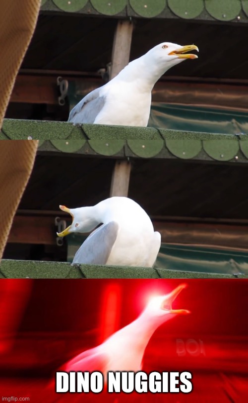 screaming gull | DINO NUGGIES | image tagged in screaming gull | made w/ Imgflip meme maker