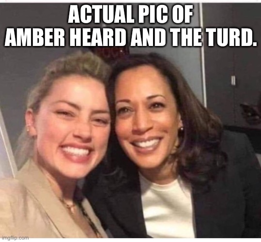 ACTUAL PIC OF AMBER HEARD AND THE TURD. | made w/ Imgflip meme maker