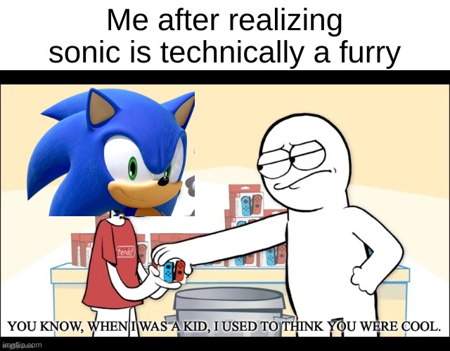 When I was a Kid, I used to think you were cool | Me after realizing sonic is technically a furry | image tagged in when i was a kid i used to think you were cool | made w/ Imgflip meme maker