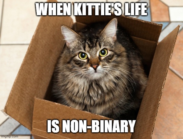 Schrodinger Magician | WHEN KITTIE'S LIFE IS NON-BINARY | image tagged in schrodinger magician | made w/ Imgflip meme maker