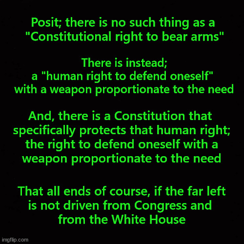 Posit; there is no such thing as a  "Constitutional right to bear arms" |  Posit; there is no such thing as a 
"Constitutional right to bear arms"; There is instead;
a "human right to defend oneself" 
with a weapon proportionate to the need; And, there is a Constitution that 
specifically protects that human right;
the right to defend oneself with a
weapon proportionate to the need; That all ends of course, if the far left
is not driven from Congress and 
from the White House | image tagged in gun control,ar15 | made w/ Imgflip meme maker
