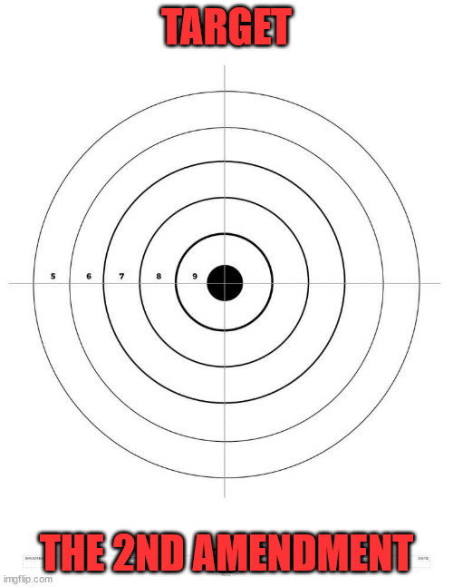 Second amendment | TARGET; THE 2ND AMENDMENT | image tagged in 2nd amendment | made w/ Imgflip meme maker