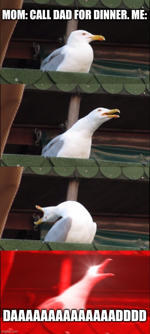 is this true for you? | MOM: CALL DAD FOR DINNER. ME:; DAAAAAAAAAAAAAADDDD | image tagged in memes,inhaling seagull,fun | made w/ Imgflip meme maker