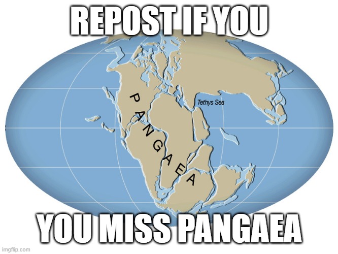 REPOST IF YOU; YOU MISS PANGAEA | made w/ Imgflip meme maker