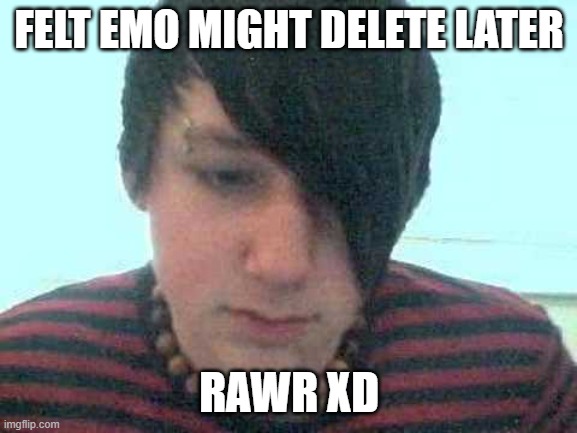 emo kid | FELT EMO MIGHT DELETE LATER; RAWR XD | image tagged in emo kid,emo,funny,true,black hair,2000s | made w/ Imgflip meme maker