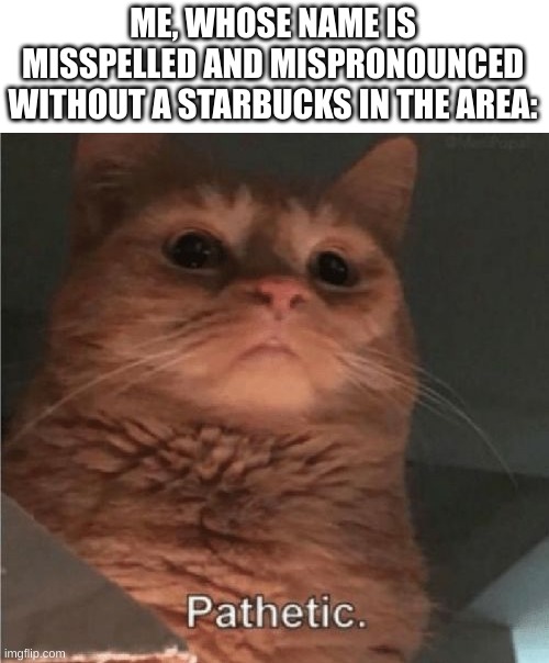 Pathetic Cat | ME, WHOSE NAME IS MISSPELLED AND MISPRONOUNCED WITHOUT A STARBUCKS IN THE AREA: | image tagged in pathetic cat | made w/ Imgflip meme maker