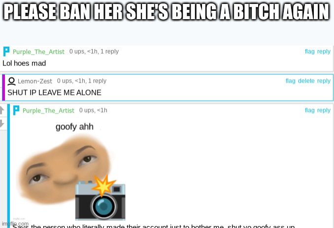 PLEASE BAN HER SHE'S BEING A BITCH AGAIN | made w/ Imgflip meme maker