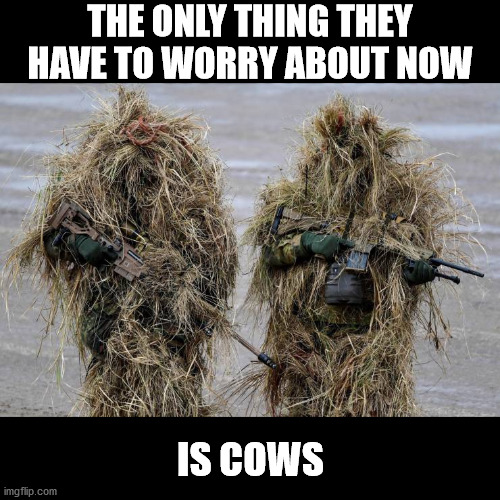 Old MacDonald has defenses, E-I-E-I-O | THE ONLY THING THEY HAVE TO WORRY ABOUT NOW; IS COWS | image tagged in camouflage | made w/ Imgflip meme maker