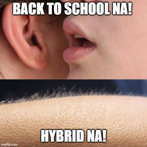 Whisper and Goosebumps | BACK TO SCHOOL NA! HYBRID NA! | image tagged in whisper and goosebumps | made w/ Imgflip meme maker