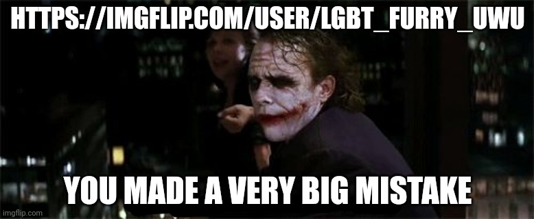Very poor choice of words | HTTPS://IMGFLIP.COM/USER/LGBT_FURRY_UWU; YOU MADE A VERY BIG MISTAKE | image tagged in very poor choice of words | made w/ Imgflip meme maker