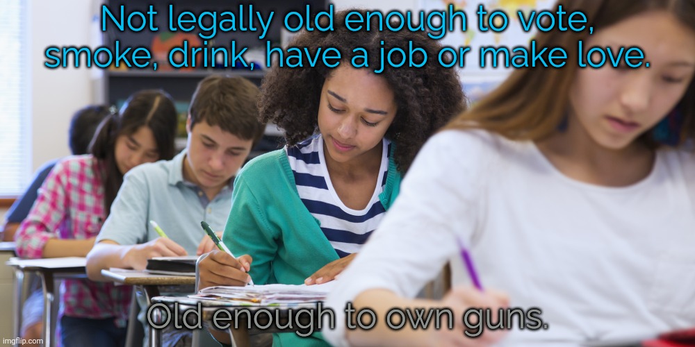 The only thing they're trustworthy about? | Not legally old enough to vote, smoke, drink, have a job or make love. Old enough to own guns. | image tagged in middle school students,contradiction,dangerous,school shootings,conservative logic | made w/ Imgflip meme maker